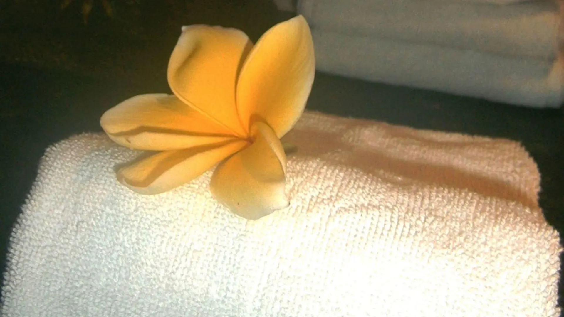 *** Bed & Breakfast Sama'S Cottages And Villas Ubud  Indonesia