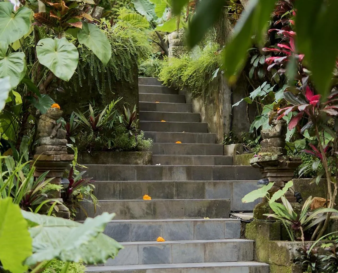 Bed & Breakfast Sama'S Cottages And Villas Ubud