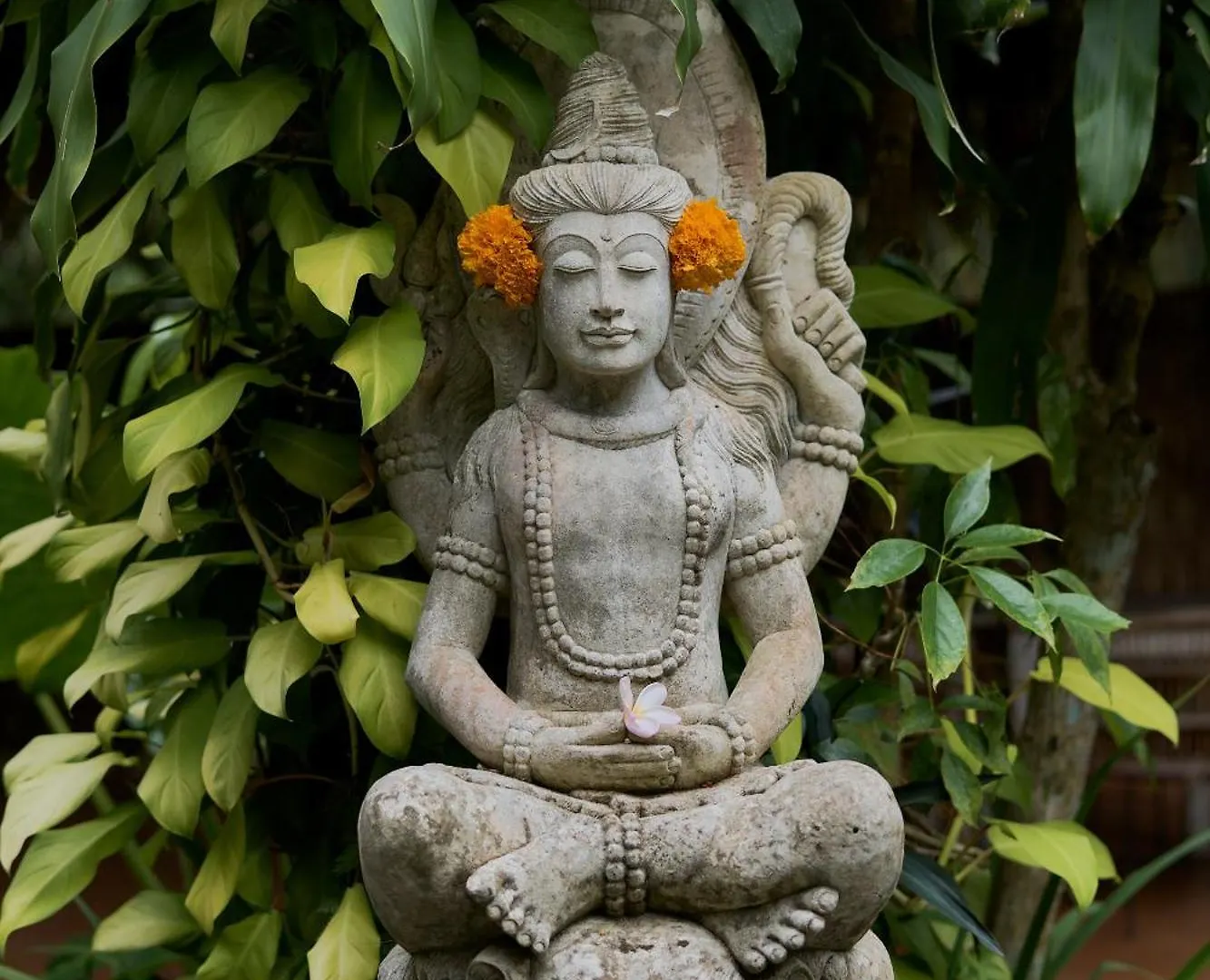 Sama'S Cottages And Villas Ubud  Indonesia