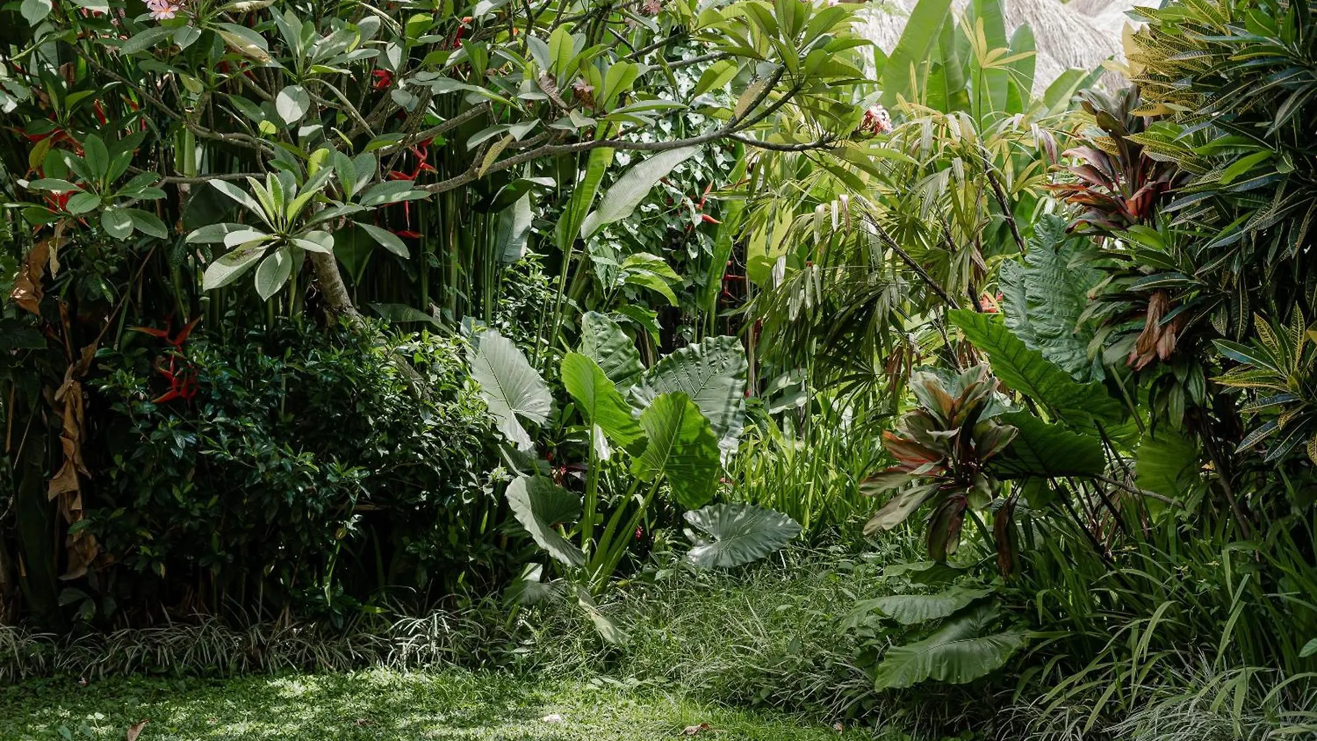 Sama'S Cottages And Villas Ubud  Bed & Breakfast Ubud (Bali)
