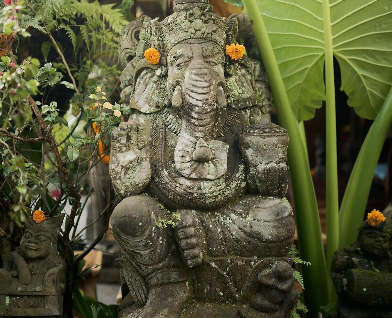 Sama'S Cottages And Villas Ubud  Indonesia
